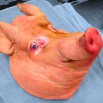 Profile Picture of Buck Gillett (@buckthehoople) on Instagram