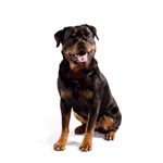 Profile Picture of John Downs (@jdowns803) on Instagram