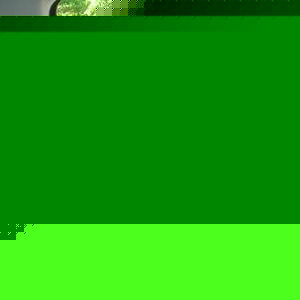 Profile Picture of Yan Carlos Ovalle Toribio (@yanky33) on Myspace