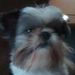 Profile Picture of Irma Williams (@sped67) on Pinterest