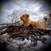 Profile Picture of Shawn Dillon (@shawn.dillon.129) on Facebook