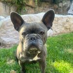 Profile Picture of Brooke Christensen (@brookepchristensen) on Instagram