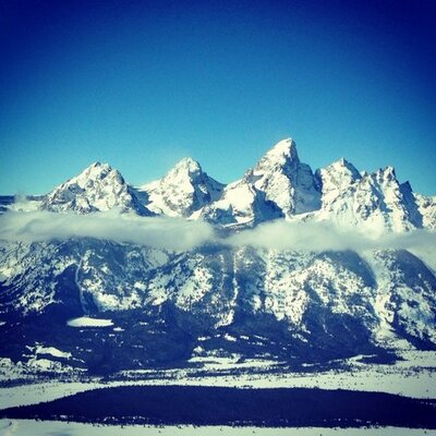 Profile Picture of Joe Matarazzo (@MatarazzoJoe) on Twitter