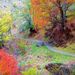 Profile Picture of robert thode (@robertthode) on Pinterest