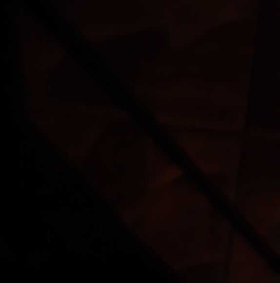 Profile Picture of Bernardo King (@bernardoking) on Poshmark