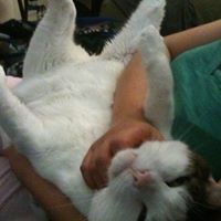 Profile Picture of Matthias Mueller (@matthias0068) on Pinterest