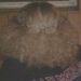 Profile Picture of Jonathon Engstrom (@jonathonengstrom) on Pinterest