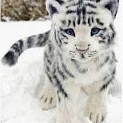 Profile Picture of Kristel Alvarez (@kristelalvarez327) on Youtube