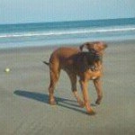 Profile Picture of Cathy Bacon (@cathybcb) on Instagram