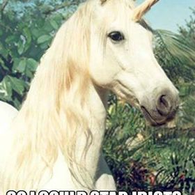 Profile Picture of Bethany Bailey (@giftsfrombeth) on Pinterest