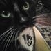 Profile Picture of Jim Adamczyk (@jim.adamczyk.39) on Facebook