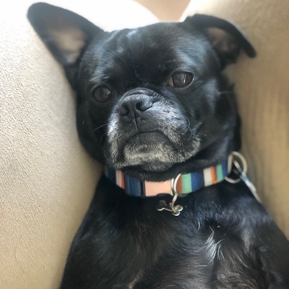 Profile Picture of Guillermo Nieves (@karlovan2) on Poshmark