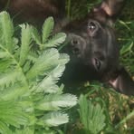 Profile Picture of Jamie Damien (@Jamie-Damien) on Facebook