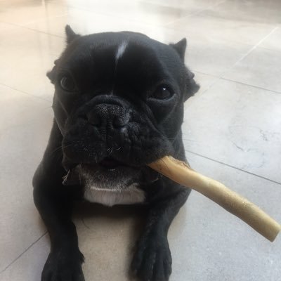 Profile Picture of Noodles (@MarkAshleyRice) on Twitter