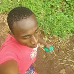 Profile Picture of boniface mark (@bobwisenikes) on Instagram