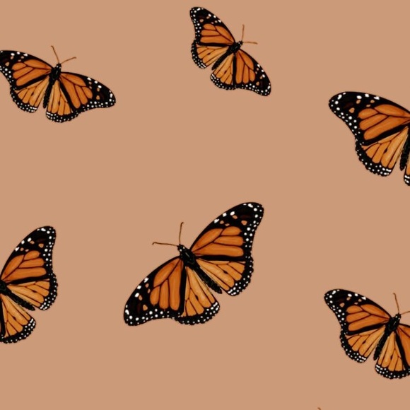 Profile Picture of Hodan Kosar (@hodankosar13) on Poshmark