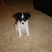 Profile Picture of Al Trudeau (@al.trudeau.92) on Facebook