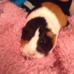 Profile Picture of Michaela McCarthy (@michaela_m_18) on Instagram