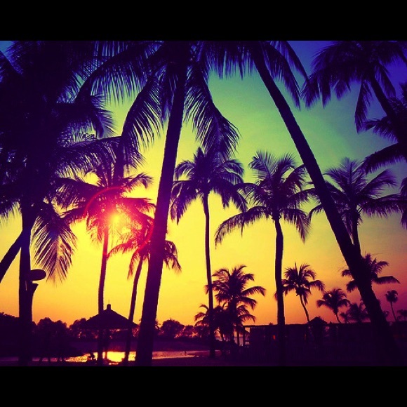 Profile Picture of Julia Zidek (@juliazidek) on Poshmark