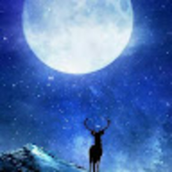 Profile Picture of Music cat Music cat (@maga4385) on Poshmark