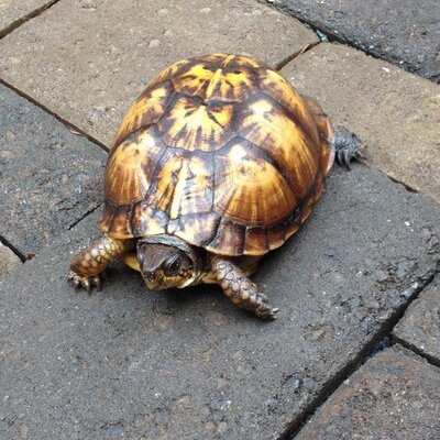 Profile Picture of Jamie Black (@jlarue6) on Twitter