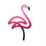 Profile Picture of Flamingo Brave Marketing Digital (@flamingobrave) on Instagram