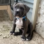 Profile Picture of James Fotiadis (@James-Fotiadis) on Facebook