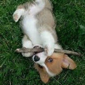 Profile Picture of Autumn Sanders (@fallautumn89) on Myspace