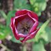 Profile Picture of Isaac Bernard (@isaacmbernard) on Pinterest