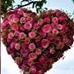 Profile Picture of Lenara Gomes Parreiras (@Lenara-Gomes-Parreiras) on Facebook