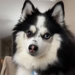 Profile Picture of Thomas Cataldo (@tom_cataldo) on Instagram