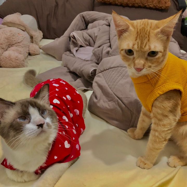 Profile Picture of Casey Go (@@caseygo) on Tiktok