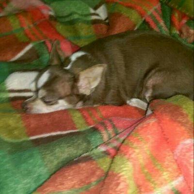 Profile Picture of Darrell D Walton (@darrell96d) on Twitter