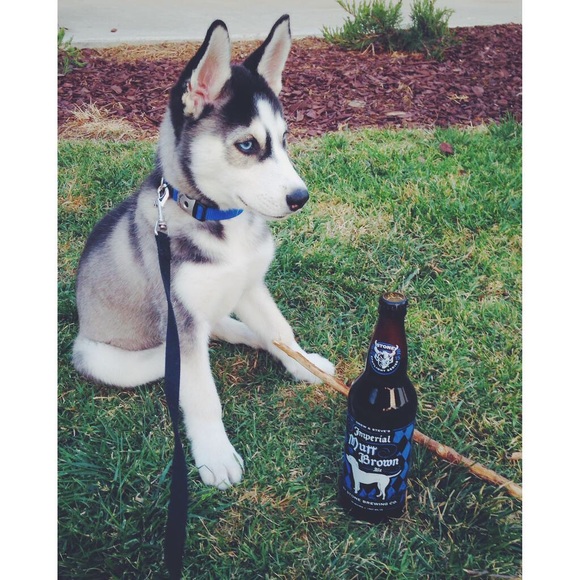 Profile Picture of Ryan Hershey (@ryanhershey) on Poshmark