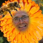 Profile Picture of John Saunders (@johnbeemansaunders) on Instagram