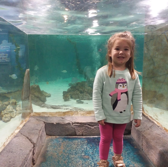 Profile Picture of Jed Colonese (@jedcolonese) on Poshmark