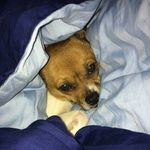 Profile Picture of Jonathan Bräuer (@brauerjonathan) on Instagram