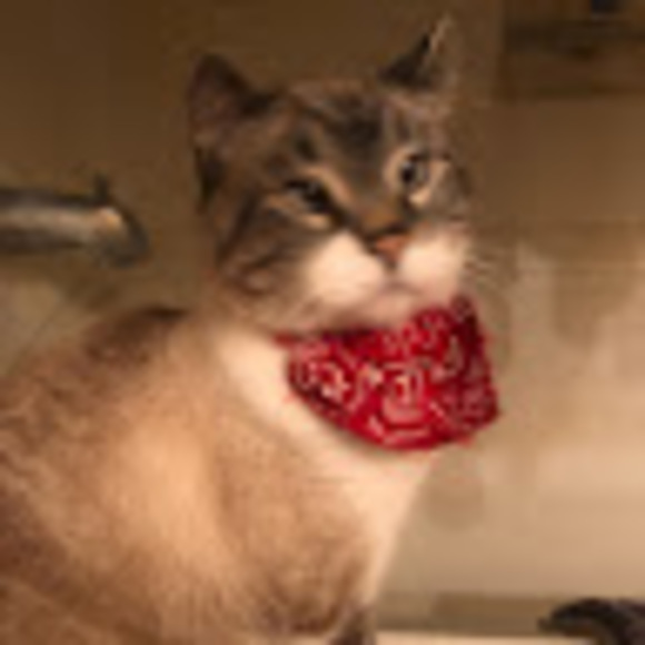 Profile Picture of James Hallman (@jameshallman03) on Poshmark