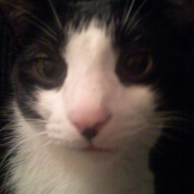 Profile Picture of Ben Krapf (@@Krapfhaus) on Twitter