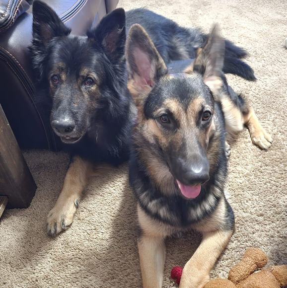 Profile Picture of Jason Penrose (@jasonsthe1) on Poshmark