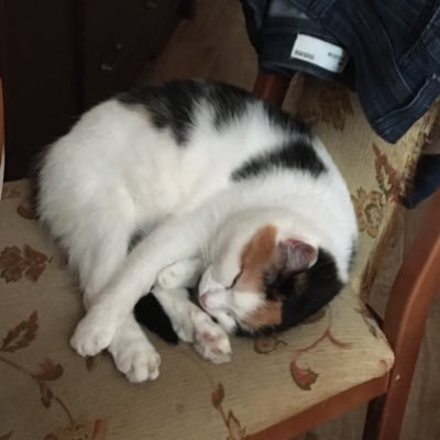 Profile Picture of Daniel Croker (@DanielCroker3) on Twitter