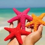 Doris Gomez - Instagram Profile Picture of Doris Gomez (@dorisgomez621) on Instagram