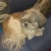 Profile Picture of Alvin Freeman (@alvin.freeman.397) on Facebook
