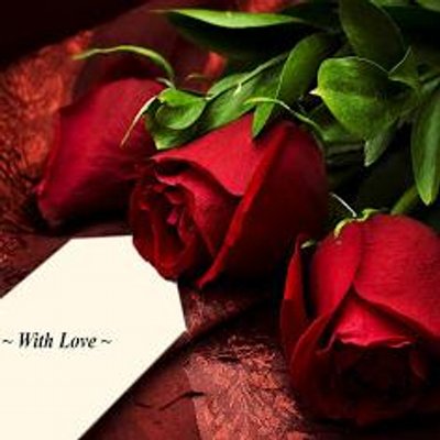 Profile Picture of Batool Kazmi (@rose_kazmi) on Twitter