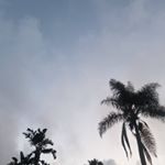 Profile Picture of Alex_mclain (@mclainalex911) on Instagram