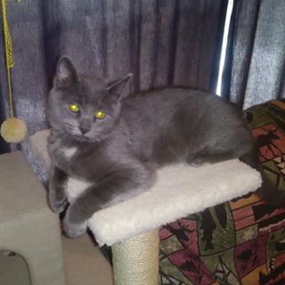 Profile Picture of Harold Perry (@harold.perry.94) on Facebook