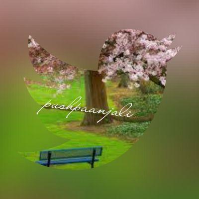 Profile Picture of Pushpa Gupta (@pushpagupta10) on Twitter