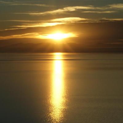 Profile Picture of Tyler Calder (@CalderTy) on Twitter