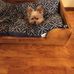 Profile Picture of Janice Rector (@janice.rector.92) on Facebook