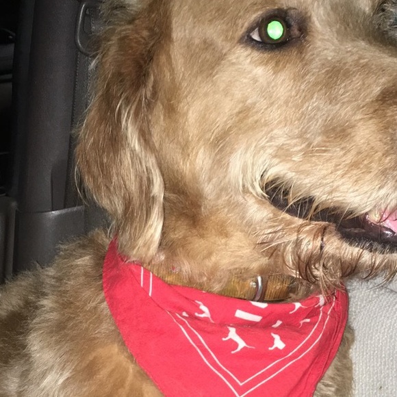 Profile Picture of Alece Smith (@pinkgirlsummer) on Poshmark